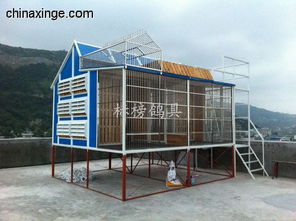 汕頭標(biāo)榜鴿具廠